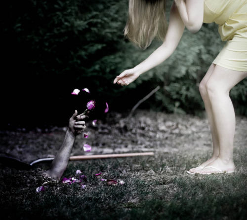 lostbutterflychild:  Forget me, please. by Stephen Criscolo on Flickr.