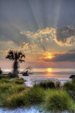 myfuturememories:  Sunrise, Hunting Island,