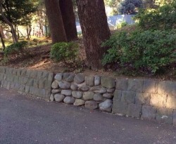 memeguy-com:  In a video game there would definitely be something hidden behind this wall  in real life, there would definitely be something sketch like a body hidden behind this wall