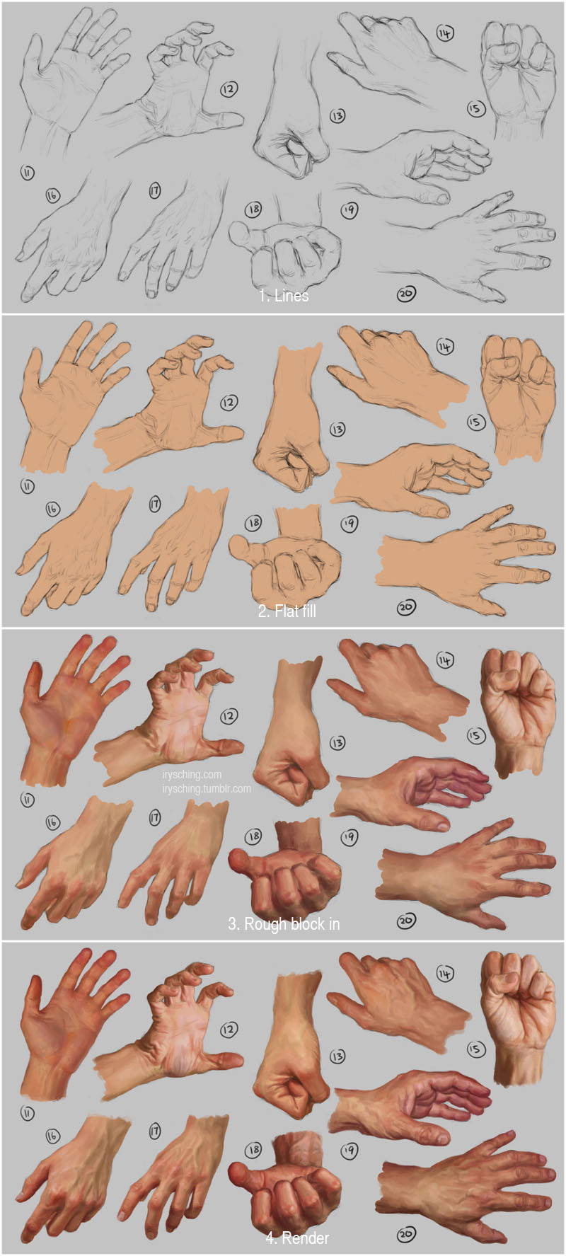 anatomicalart:  hand references by iryshing 
