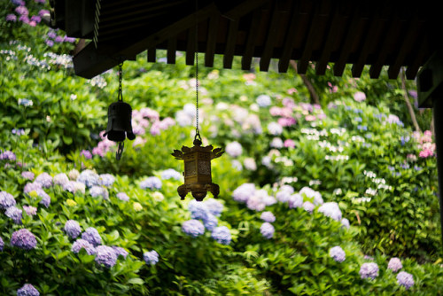 ileftmyheartintokyo:Hasedera 長谷寺 by kirainet on Flickr.