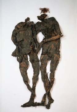 dichotomized:  The Weerdinge Men are two naked bog bodies found in Bourtanger Moor in Drenthe, The Netherlands in 1904. The two died between 160 BC and 220 AD. The more complete man had a large wound on his chest, through which his entrails spilled out.
