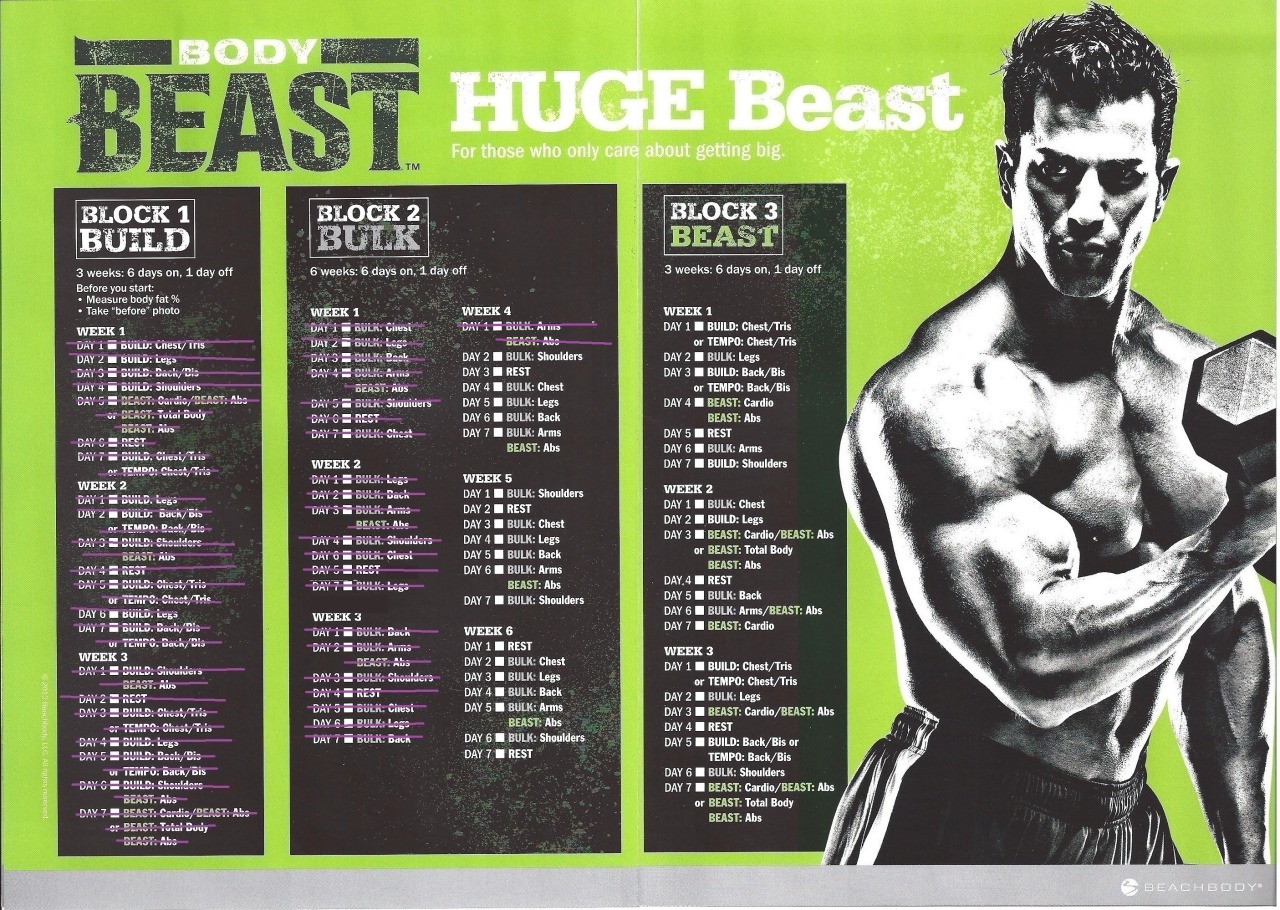 evolutionofmyjourney:  Today is day 41 of Body Beast  Workout Beast abs and Bulk