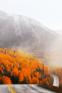 bluepueblo:  Rocky Mountain Autumn, Colorado photo via laura   r 