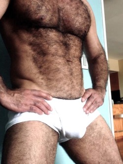 deviantdaddy:  bears i want to bang 81 