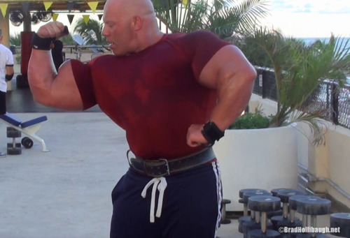 realbradhollibaugh:  Hammer curls  videohttp://www.bradhollibaugh.net porn pictures