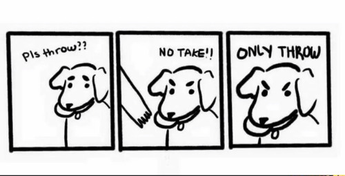 &ldquo;Dog Logic&rdquo; on /r/funny ift.tt/1fvbJCq