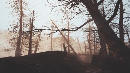 nuka-nuke:Random shots around Longfellow’s cabin