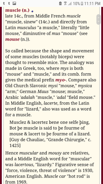 classicsftw:brachial-saur:aviculor:william-snekspeare:thelizlords:The etymology of the word muscle g
