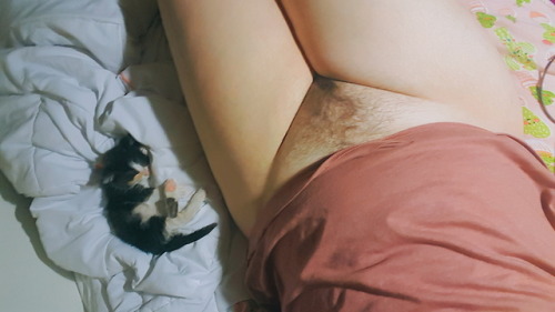 cchouettee: two sleepy fuzzy gorls.