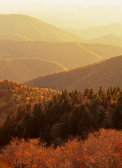 hueandeyephotography:  Autumn Ridges, Blue Ridge Parkway, North Carolina  © Doug Hickok  All Rights Reserved hue and eye   the peacock’s hiccup