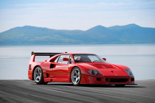 itcars:Ferrari F40 LMImages by Dean Smith || IG