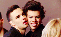 ffranksiero:  3/60: Your favorite BROTPS (2/2) - Liam & Harry“if I was an animal, my mating call would sound a little like this, "hello, I’m the real liam payne, nice to meet you” 