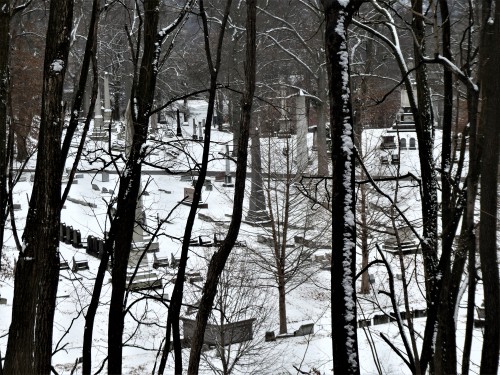 Allegheny Cemetery 1-31-21-25