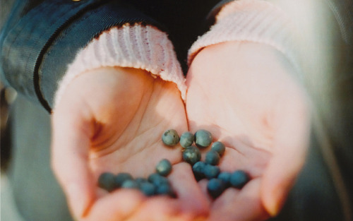 sinkling:  some berries by Mirrelley on Flickr.