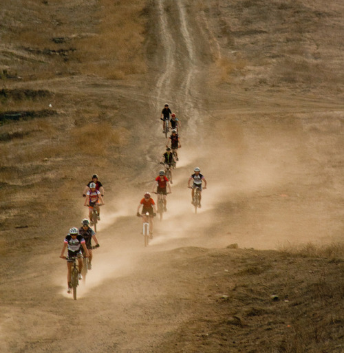 cyclivist: Race to the Bottom by Misshoney1 on Flickr.