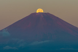 whistling-in-the-forest:  spookylittlebird:  nobody believed me when I said the moon lived in a big mountain but now who’s laughing? now who’s the ‘weird moon guy’? now who’s banned from my local library?  ☽☯☾ 