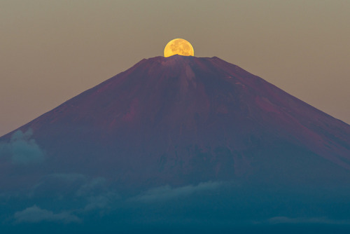 spookylittlebird:nobody believed me when I said the moon lived in a big mountain but now who’s