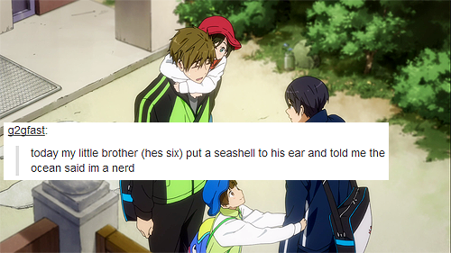 sneezing-haru:  hi