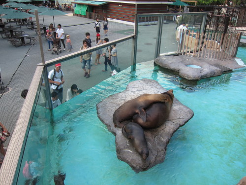 上野動物園. Ueno Zoo.