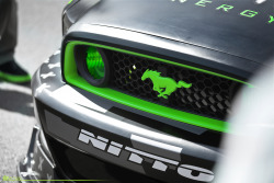 automotivated:  Monster Energy Detail (by m.nik Photography)