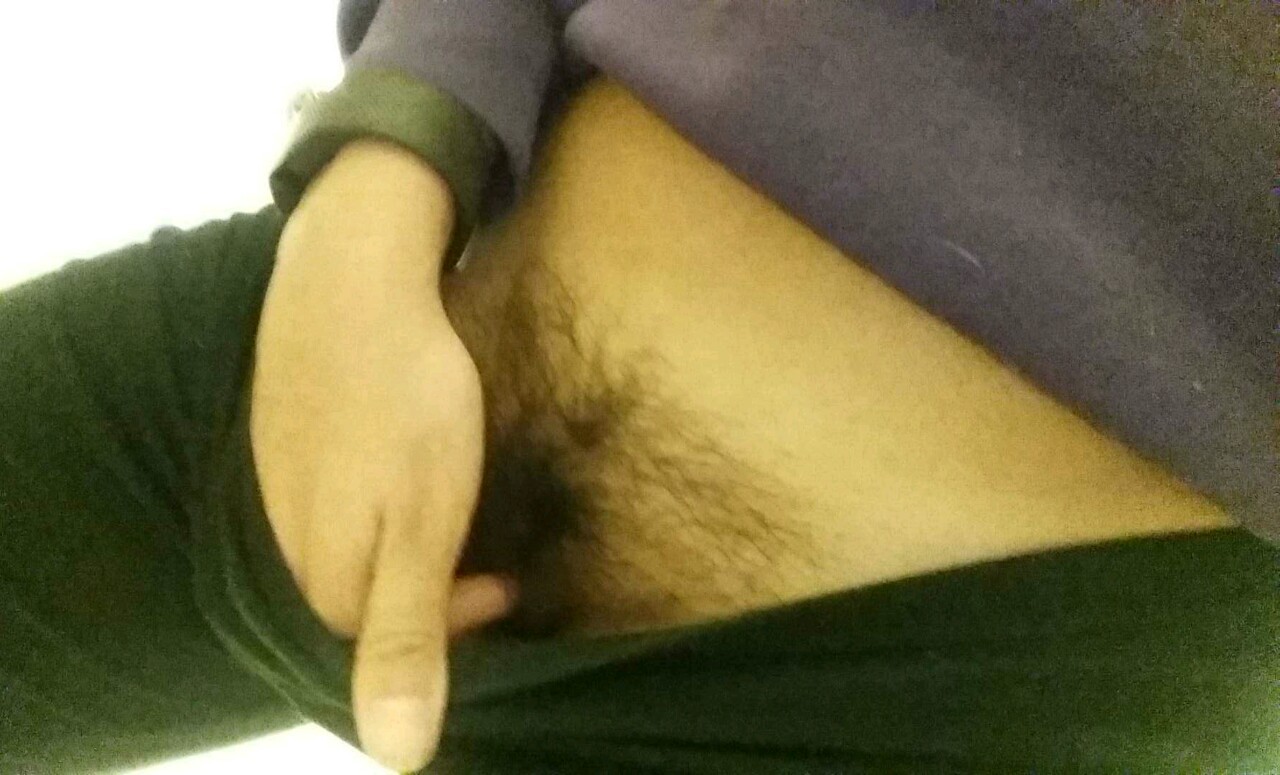 carolinadreaming101:  Boobs and Bush II 
