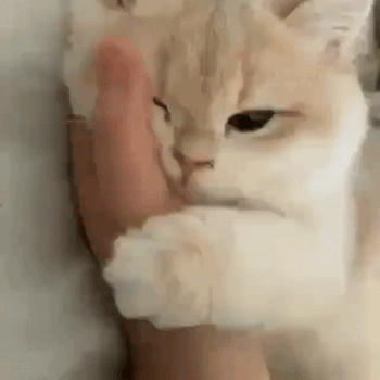 Sweetie, It's Bedtime Now. 