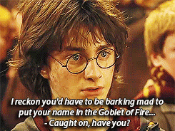 whatslifewithoutfandoms:  castiel-hasfallen:  rand0mfanstuff:  sassy harry   When Harry was like Harry in the books  Harry Potter and the Goblet of Sass 