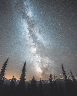 renamonkalou:  Olympic NP night skies | Zachary