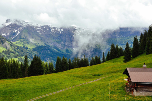 i-long-to-travel-the-world:  danlophotography: Lenk | Switzerland - If you love this