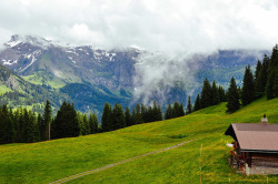 i-long-to-travel-the-world:  danlophotography: Lenk | Switzerland - If you love this beautiful picture, like it. We post stuff just like this every day on Facebook. Like us by clicking here: http://on.fb.me/1bgLOYJ - You won’t regret it.