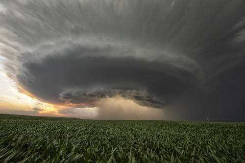 The Spaceship Has Landed! by Roger Hill Camera: Canon EOS 5D Mark IV Lens: Canon EF 11-24mm f/4L USM