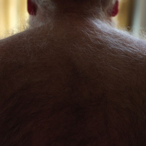 silverbadbear:  Nice