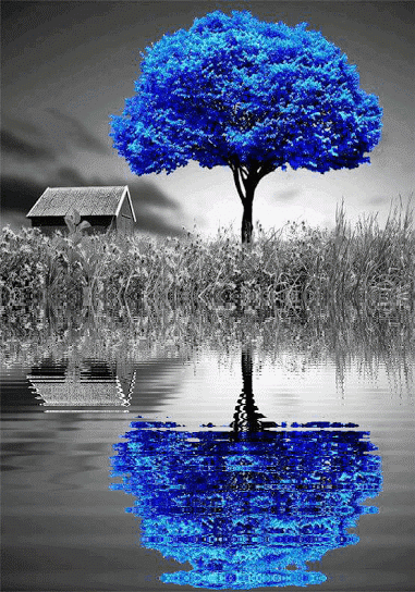 justbeingnamaste:Thus passing through the infinite varieties of spacewe reach the