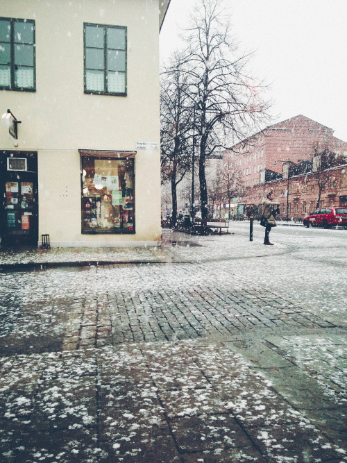 ☆ winter barely made an effort
