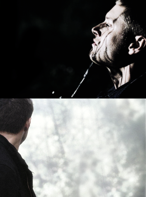 keepyourguttersoul:  You don't think I've given enough?  dean meme: 1/3 seasons ↳season