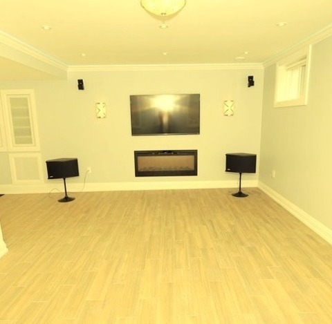 Contemporary Basement - Lookout