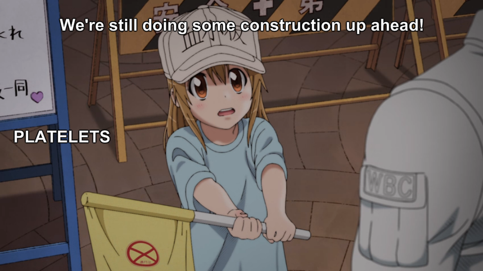 Another Neglected Blog — LORD HELP ME THERE'S AN ANIME ABOUT CELLS
