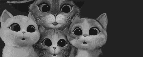 thebabyanimals:  beautiful blog full of baby animals!