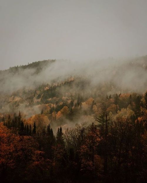 grayskymorning:Hannah Rheaume