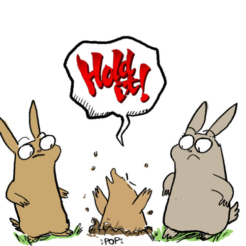 noobtheloser:Alternate ending:More Behind-the-GIFS | The SubredditFollow me on Facebook and Twitter.