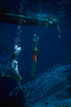 natgeofound:  A swimmer from a houseboat joins women diving in Weeki Wachee’s pristine spring waters in Florida, 1955.Photograph by Bates Littlehales, National Geographic