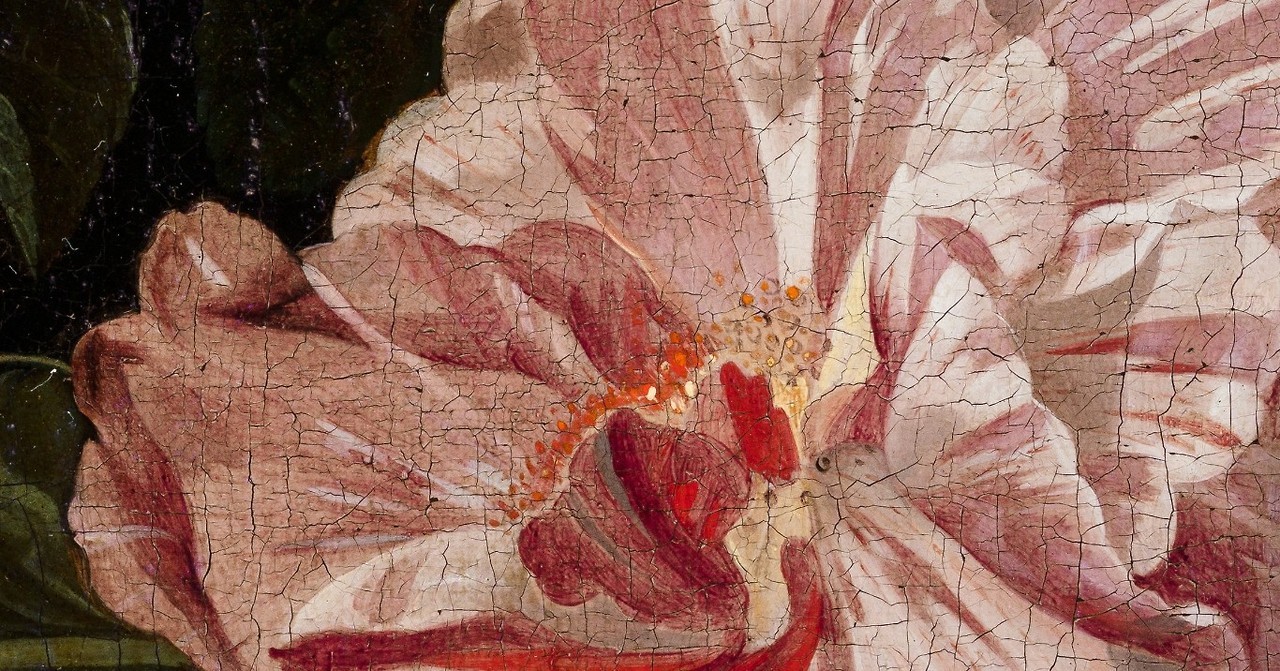 trulyvincent: Abraham Mignon, details from A Cat knocking over a vase of flowers,