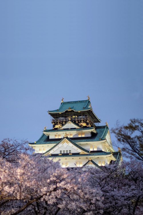 visualechoess:Sakura Castle - © Azul Obscura | ᶹᶥᶳᶸᵃᶩᶳ