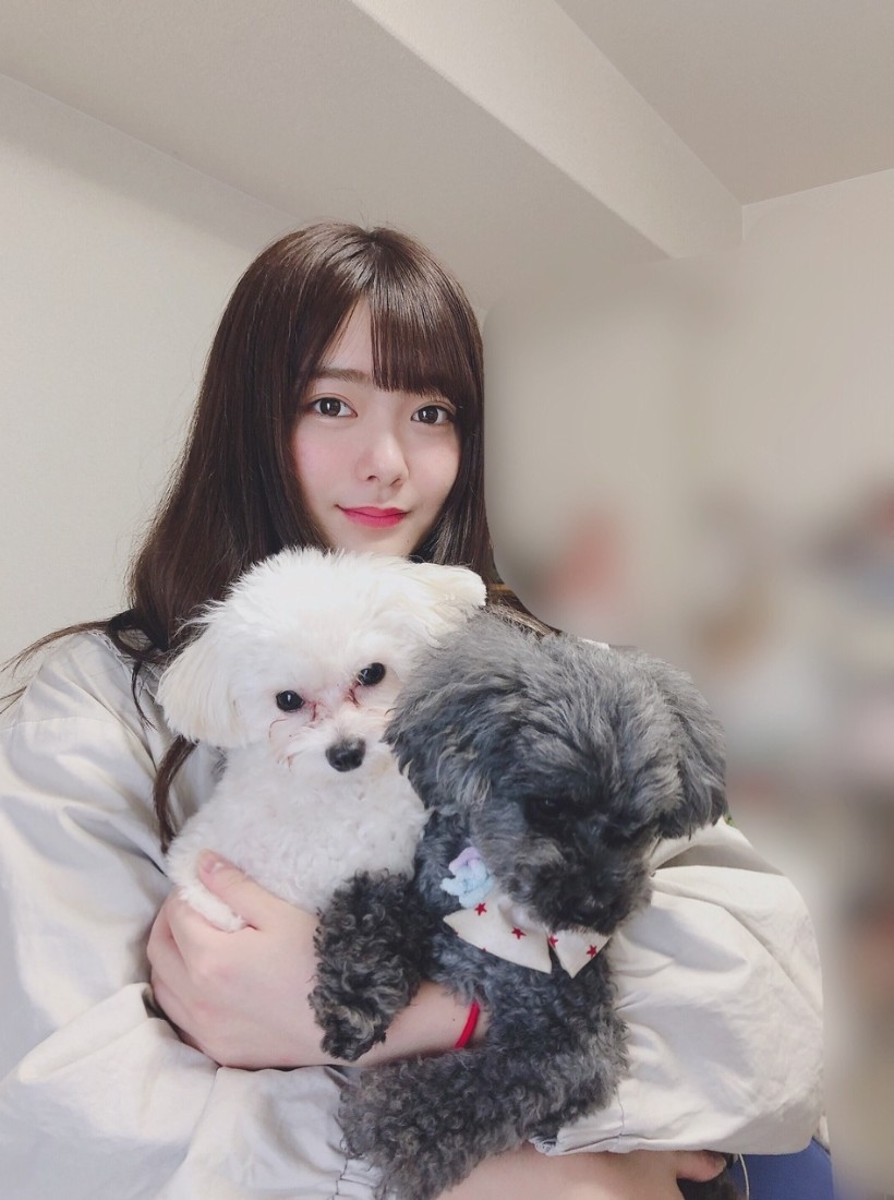 Porn photo 4846fans:ふわふわの保乃とワンちゃん🐶可愛いですね❤ワンちゃんはオーディションの時に買った？