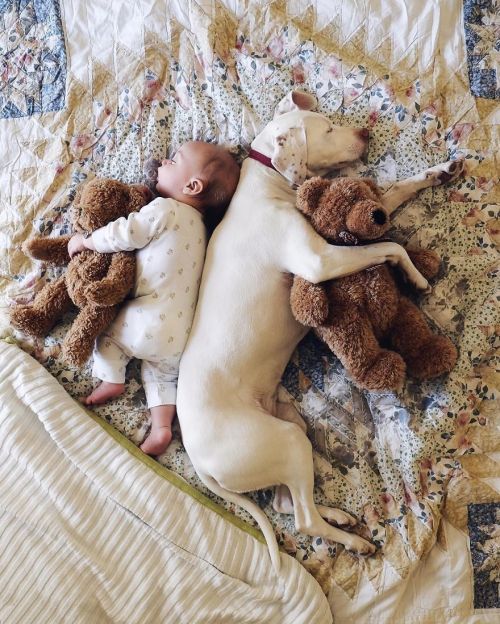 WARNING: CUTENESS OVERLOAD!Nora the rescue puppy loves napping with her baby brother ❤️