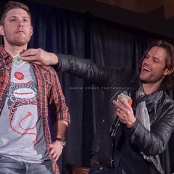 growyourwings:  Jared showing appreciation for jensen’s striptease at #spn #SFCon 