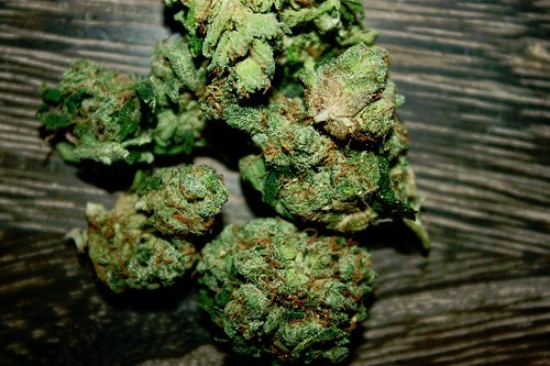 http://blowmelikekushhh.tumblr.com/post/127184567614