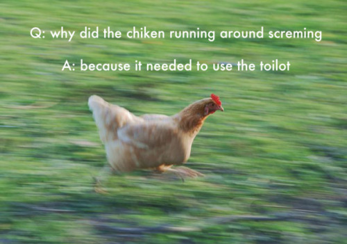 lmaocourse:  thriveworks:  Jokes Written by Kids (see 10 more)  shitposters in the making 