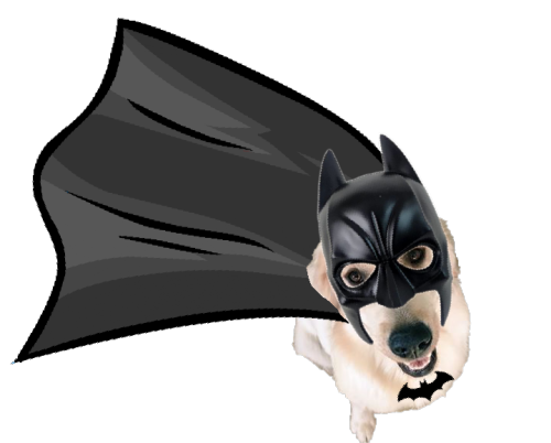 sereniplier:  NANANANANANANANANA BOAT DOG  inspired by: @thefandomranger